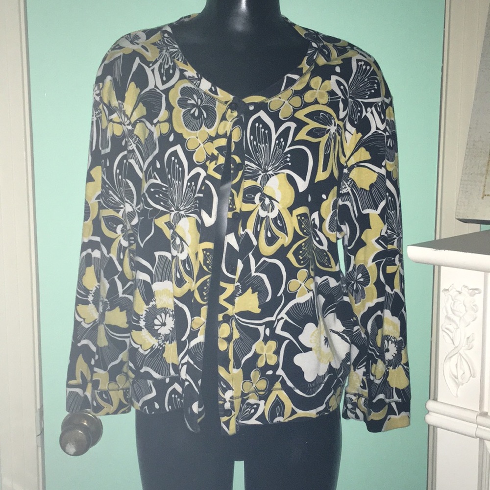 Rafaella style sweater